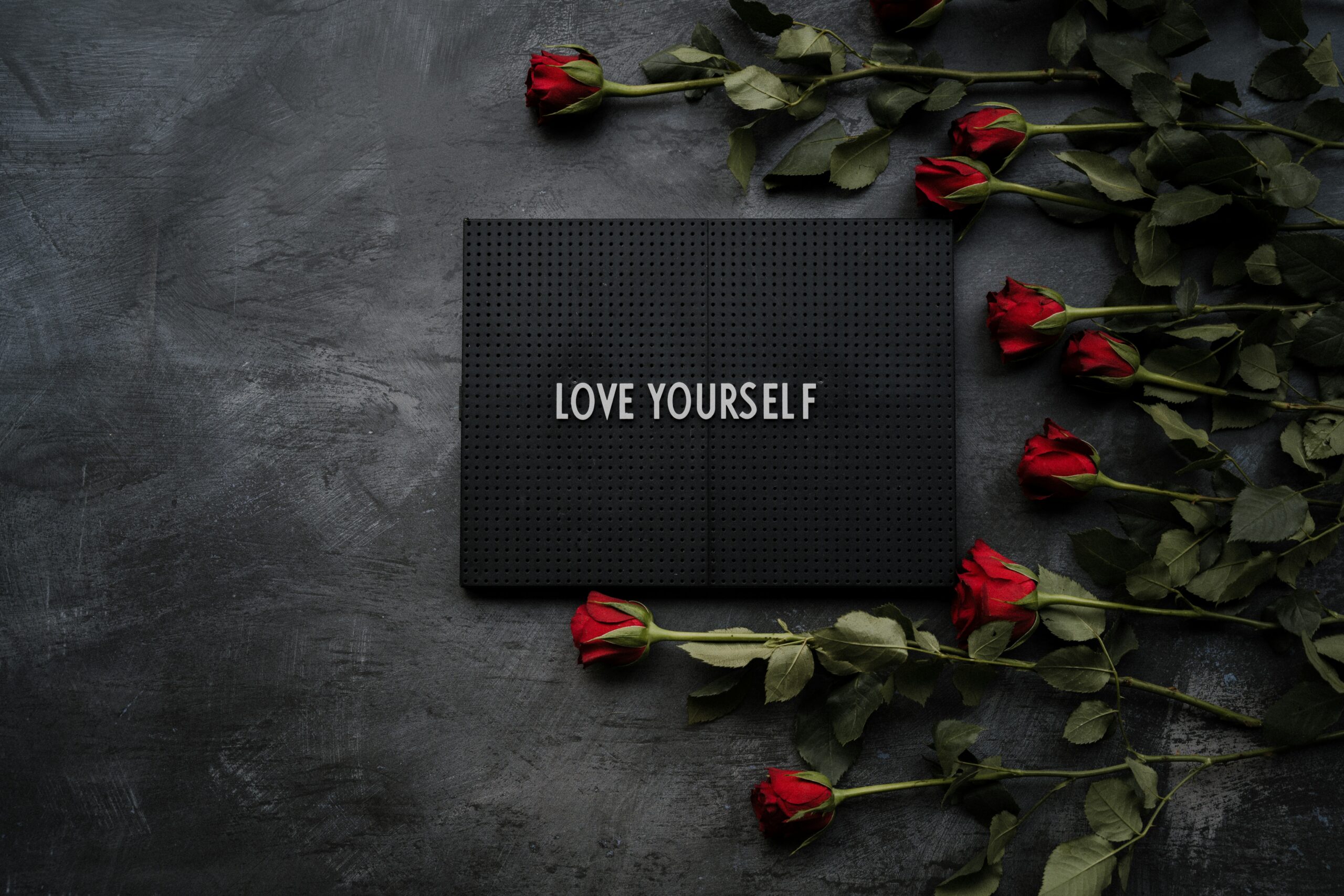 annie-spratt-WQC8HvAU2SY-unsplash